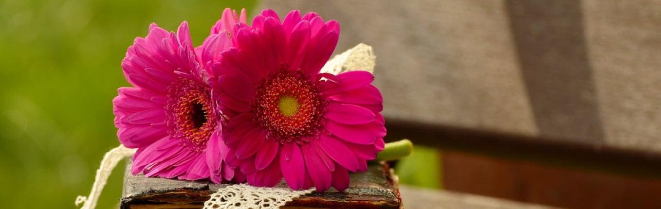 Flores funerarias para Salamanca